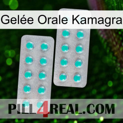 Gelée Orale Kamagra 29